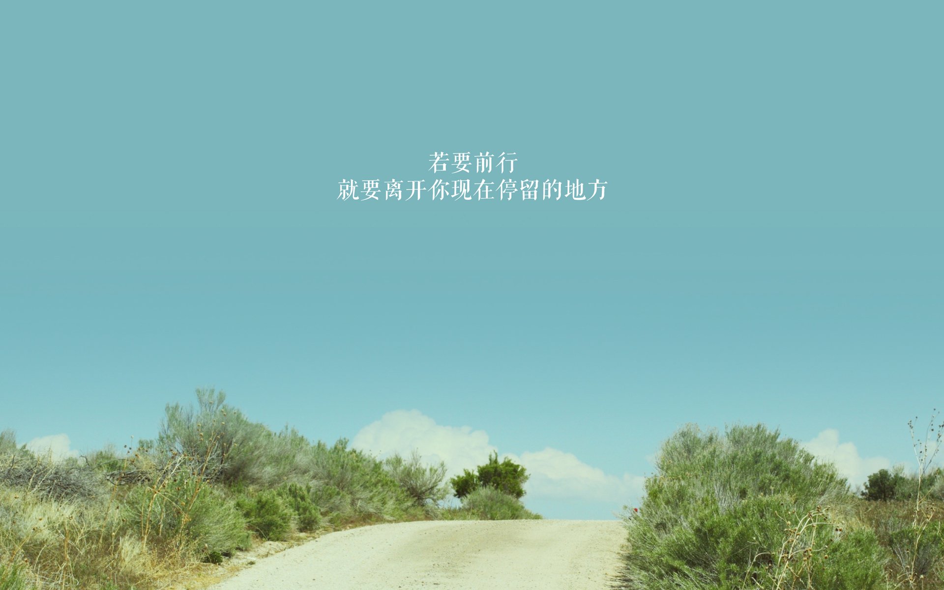 乌拉圭队在巴黎奥运会比赛中展现出高效的传球配合，乌拉圭足球拿过冠军吗