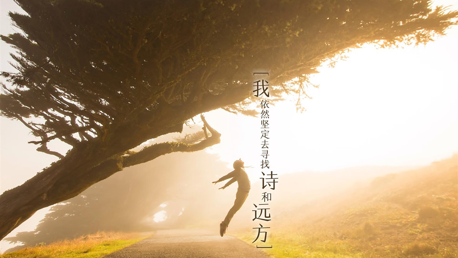 乌拉圭队门将穆斯莱拉在巴黎奥运会上展现出高水平的扑救能力，乌拉圭何塞穆希卡