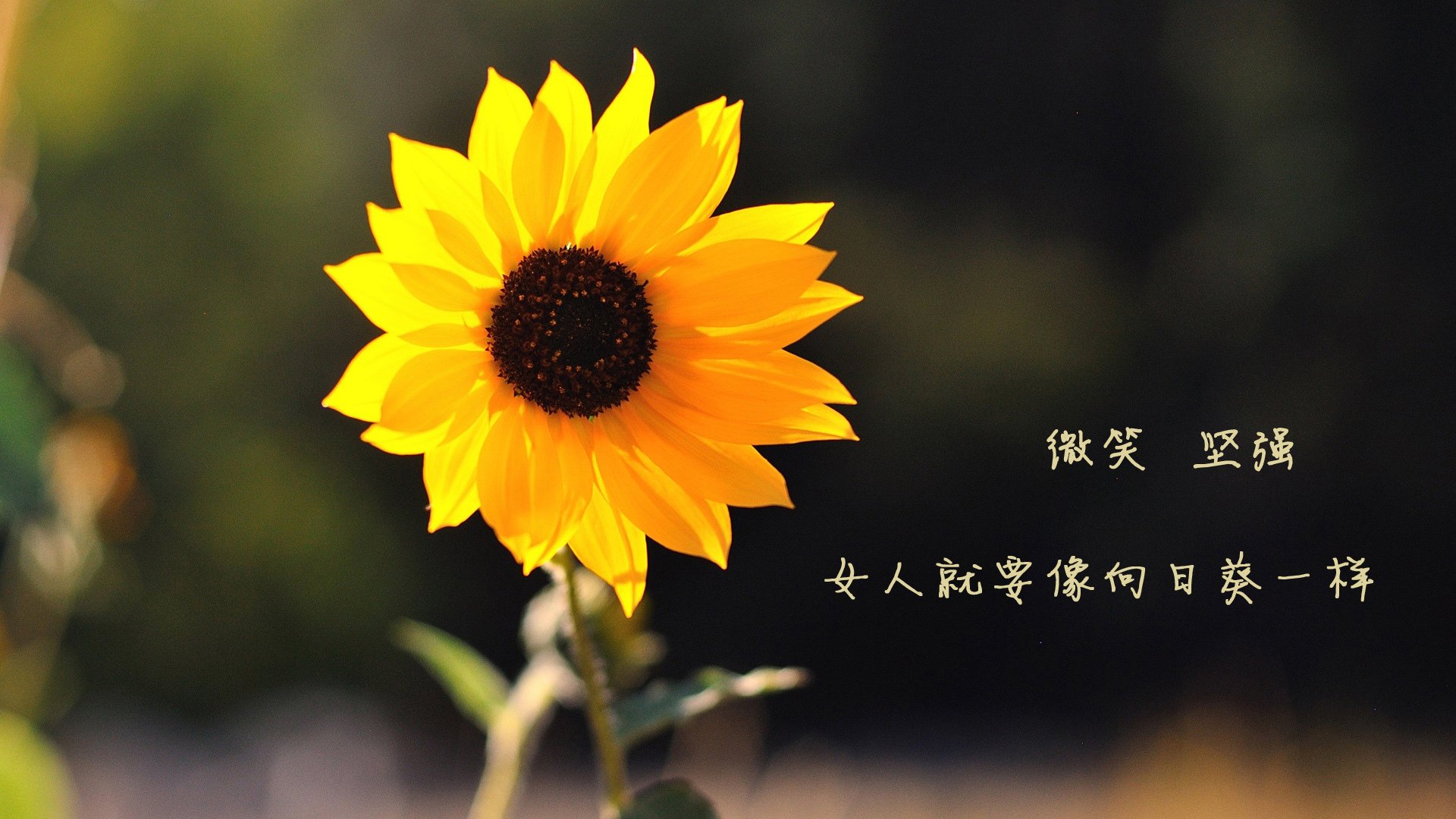 开云体育APP下载-篮球运动员伤病康复方案多样化探索，篮球运动员 伤病
