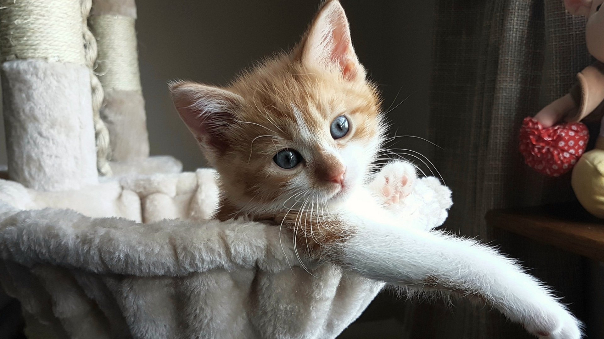 水晶宫客场战平，表现仍有待提高，水晶宫干嘛的