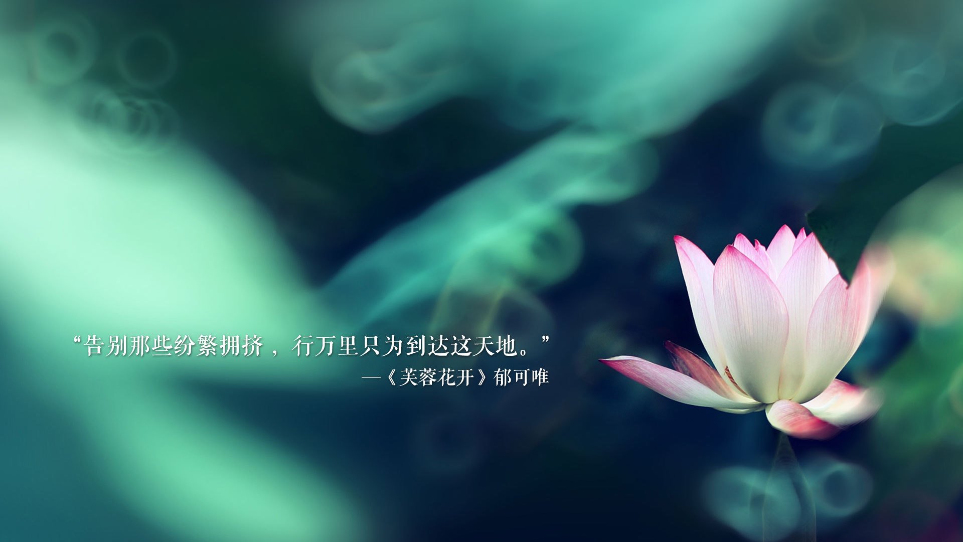 水晶宫客场输给利兹联，英超保级形势比预期更为严峻，水晶宫在英超什么水平