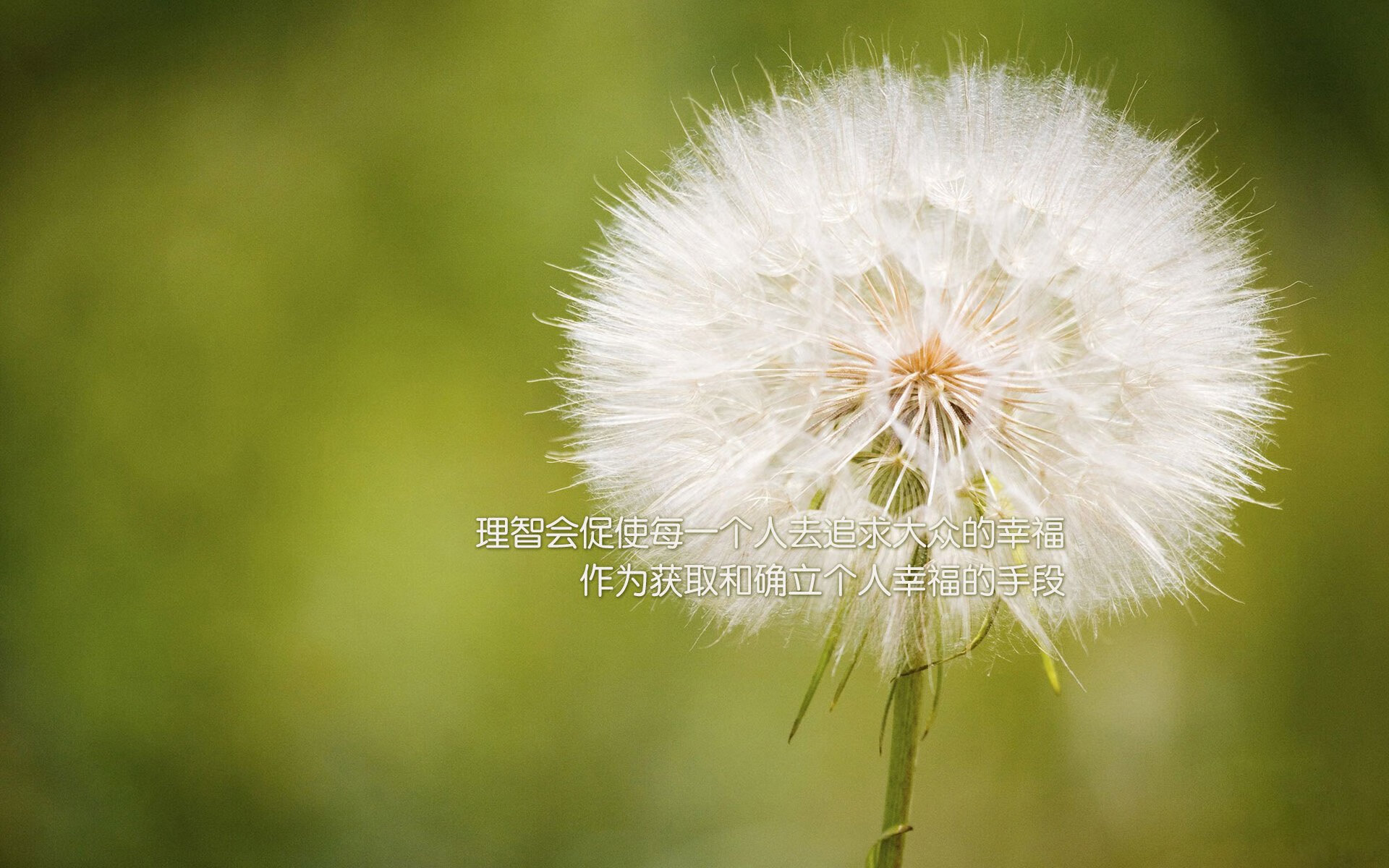 激情碰撞！顶尖球队将在比赛中上演对决，顶级球队