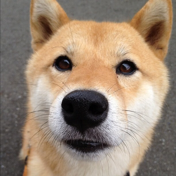 花样滑冰项目鼓励原创动作激发青年创意,花样滑冰运动会