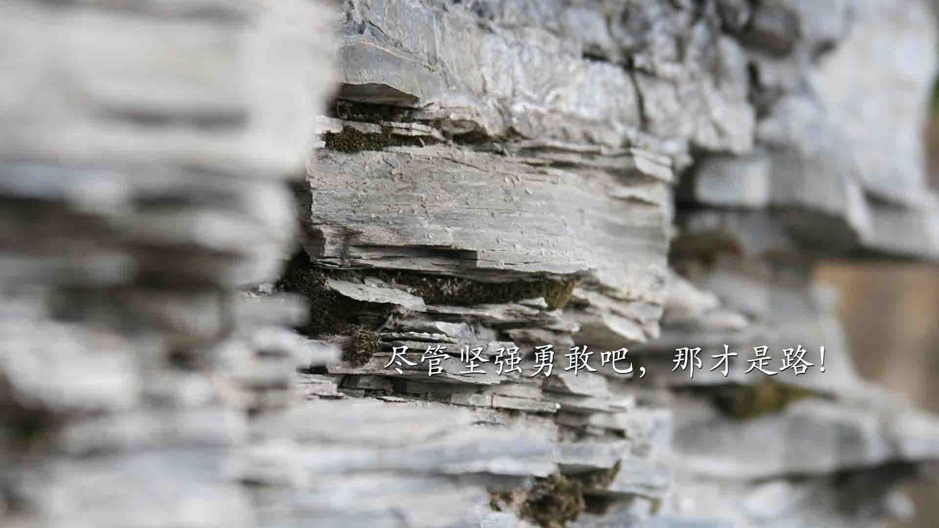 新闻中心发布大型赛事志愿者选拔计划,2021年大型赛事志愿者